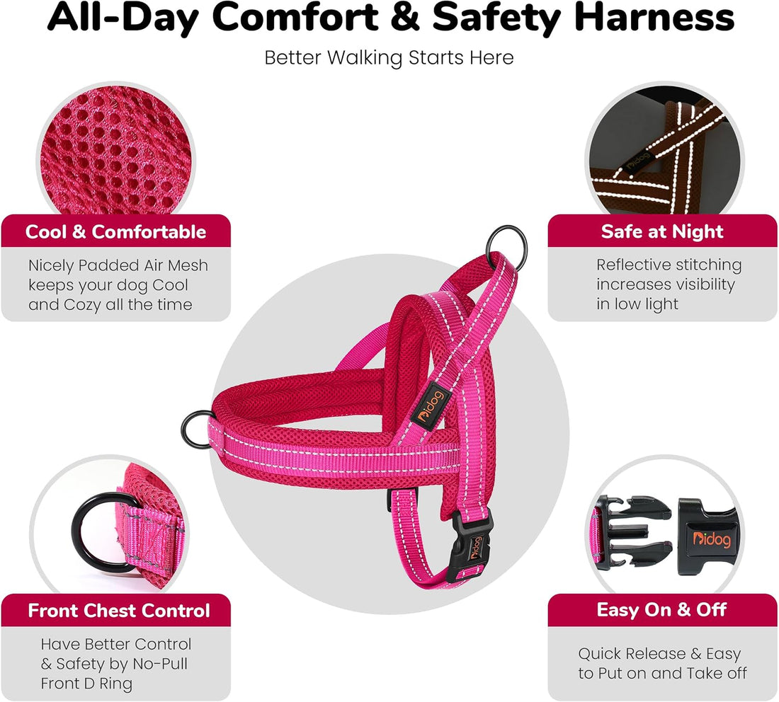 Didog No Pull Dog Harness for Small Dogs