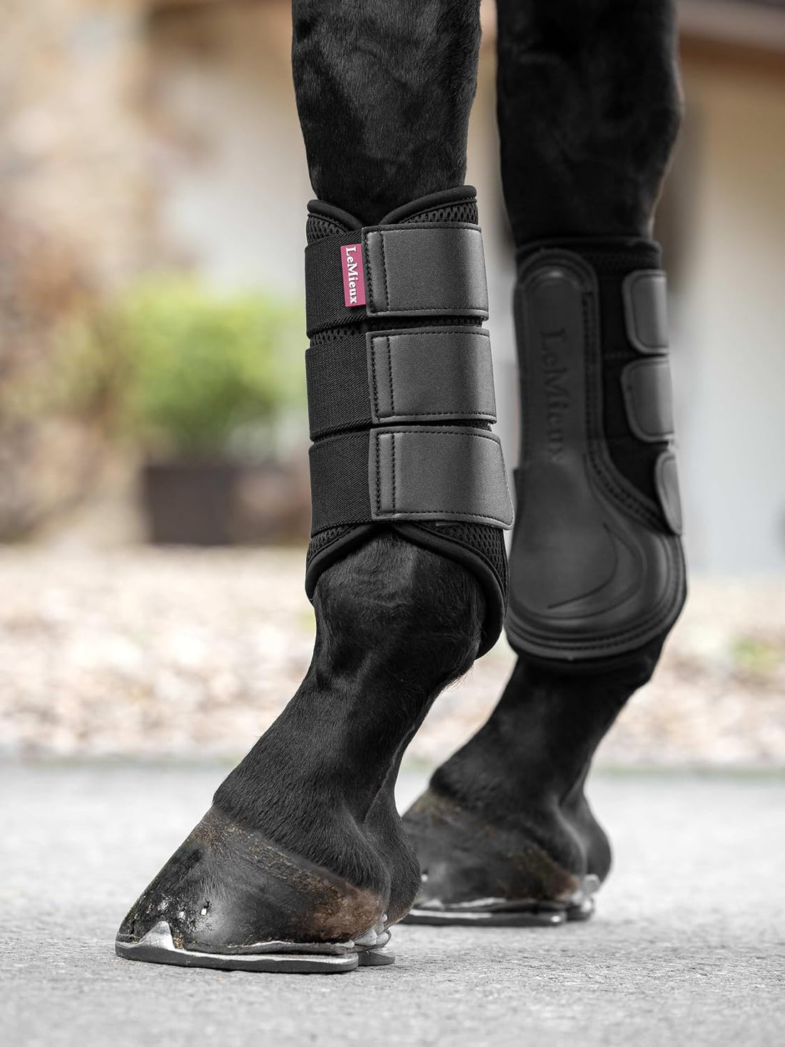 LeMieux Mesh Brushing Boots - Pair of Tough & Durable Protective