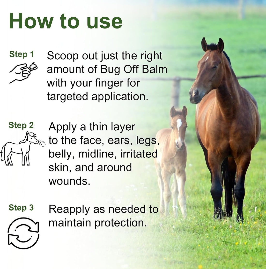 Horse Skin Summer Protection Bundle