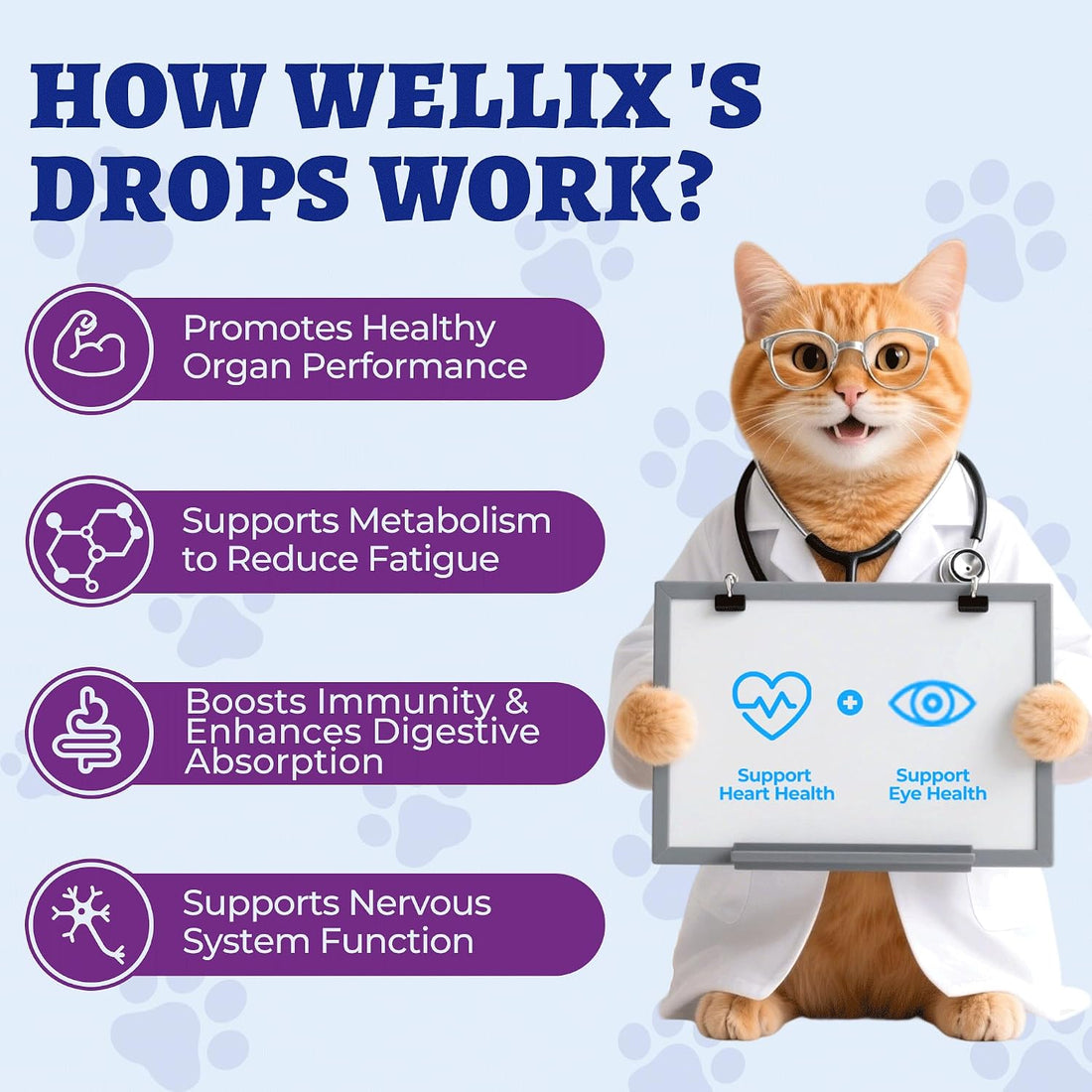 Wellix 4 oz Liquid Taurine Drops for Cats & Dogs