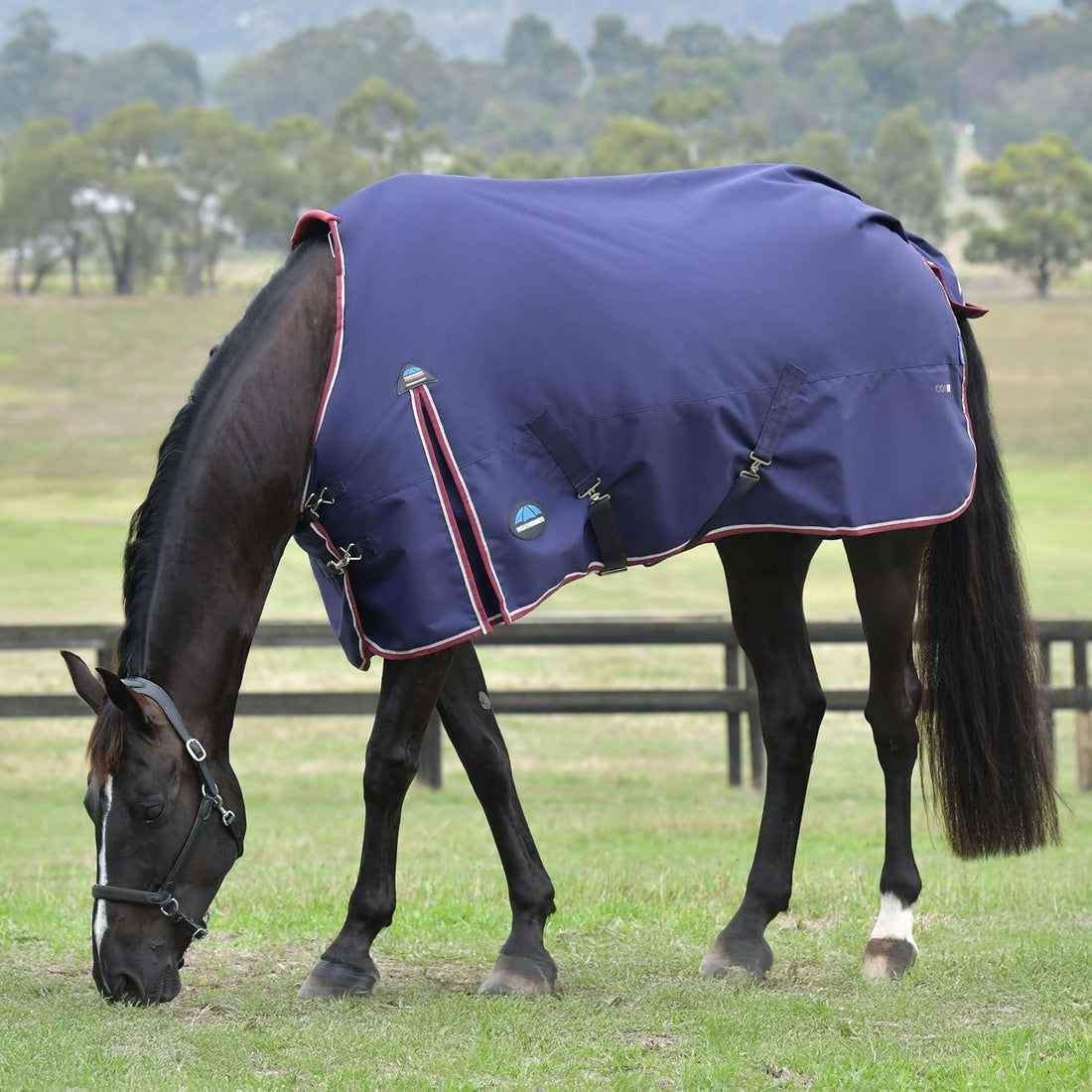 WeatherBeeta ComFiTec Essential Turnout 220g, Rodeo Print, 78"
