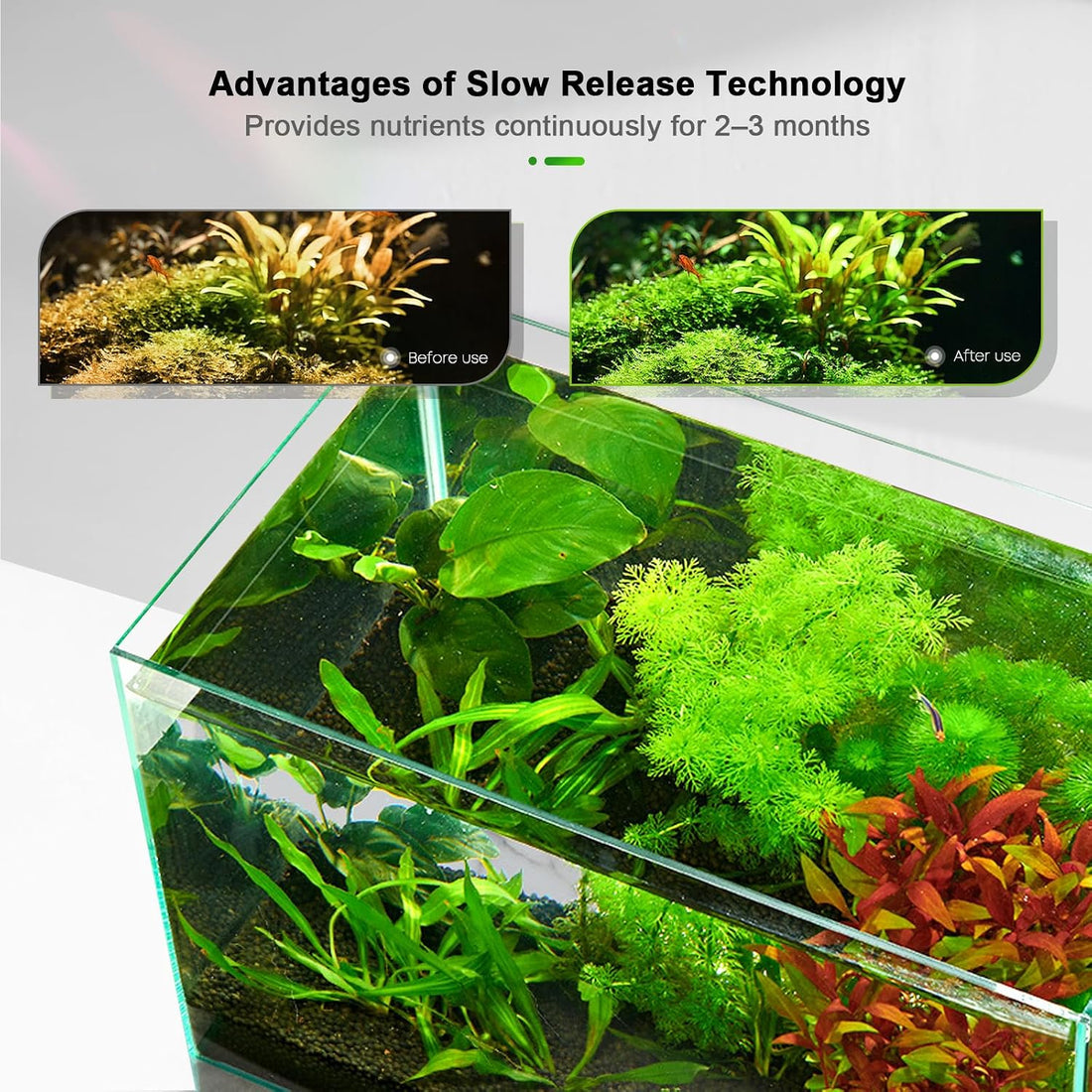 FZONE Root Tabs, Aquarium Plant Fertilizer, Safe for Fish & Shrimp