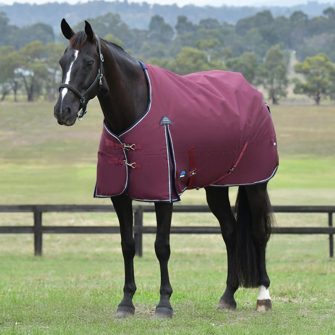 WeatherBeeta ComFiTec Essential Turnout 100g, Navy/Burgundy, 81"