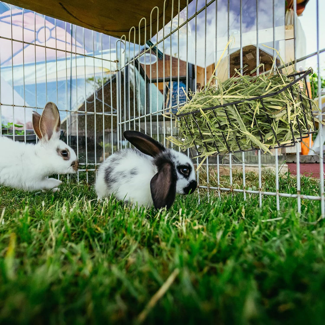 Therwen 4 Pcs Rabbit Hay Feeder Guinea Pig Heavy Duty Metal Frame Hay