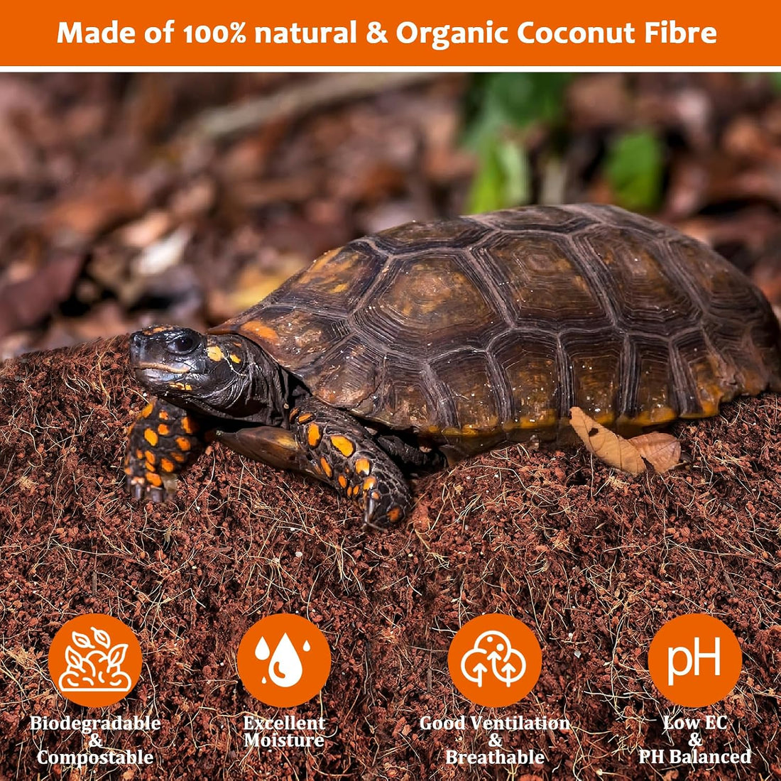 Riare 2 Pack Natural Coconut Fiber Substrate
