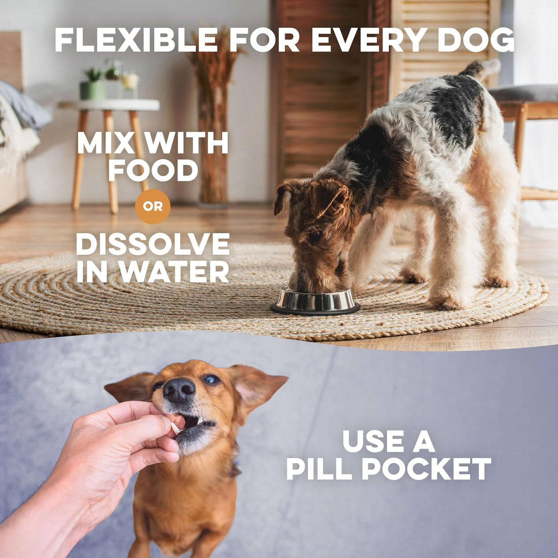 BestLife4Pets Dog Mange Support and Natural Dog Itching Relief