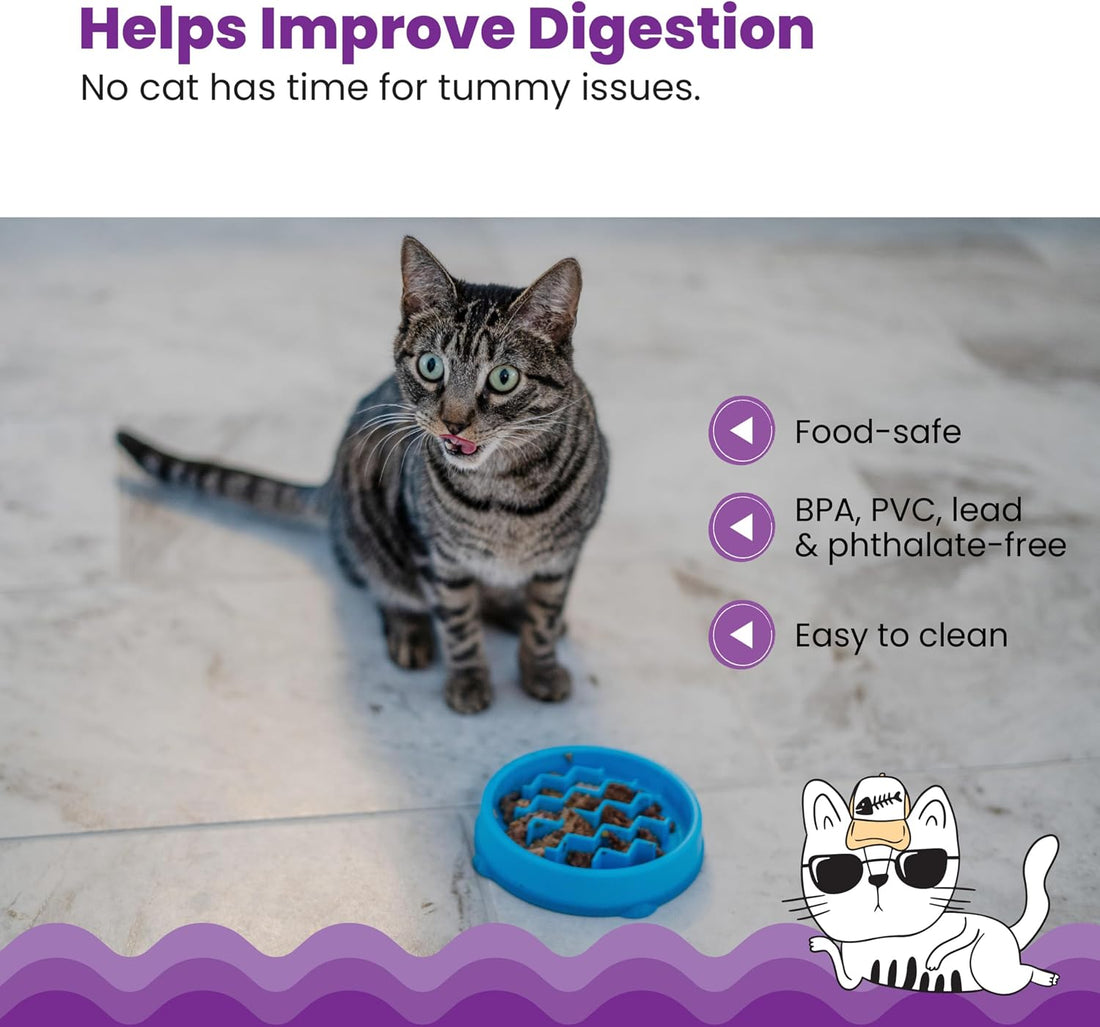 Catstages Kitty Slow Feeder Bowl for Cats & Kittens, 3/4 Cup, Blue, 5"