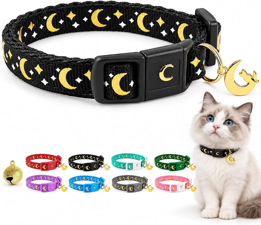 Breakaway Cat Collar with Bell for Kittens & Cats