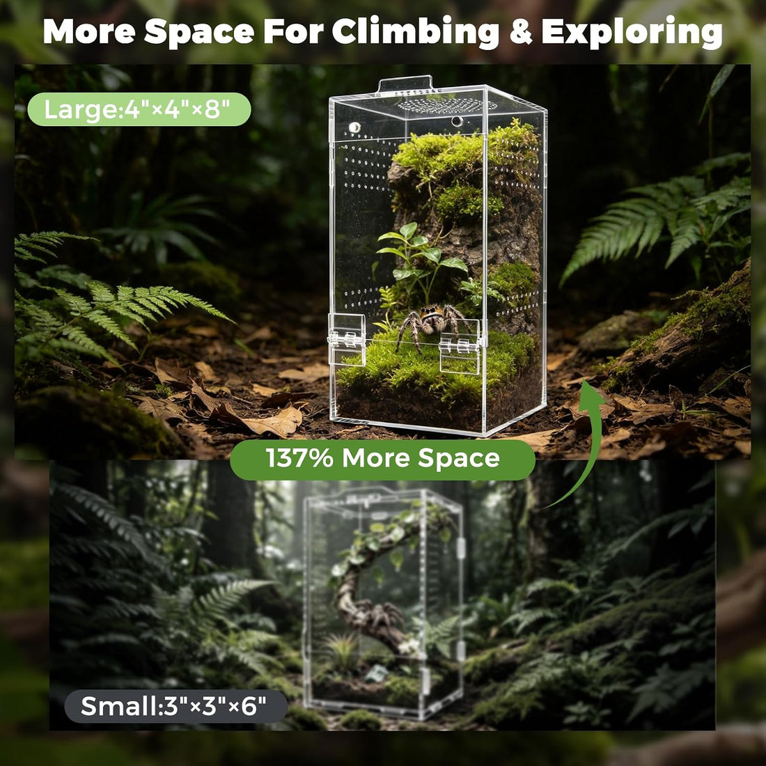 4"x4"x8" Acrylic Jumping Spider Enclosure Ready-to-Use No Assembly