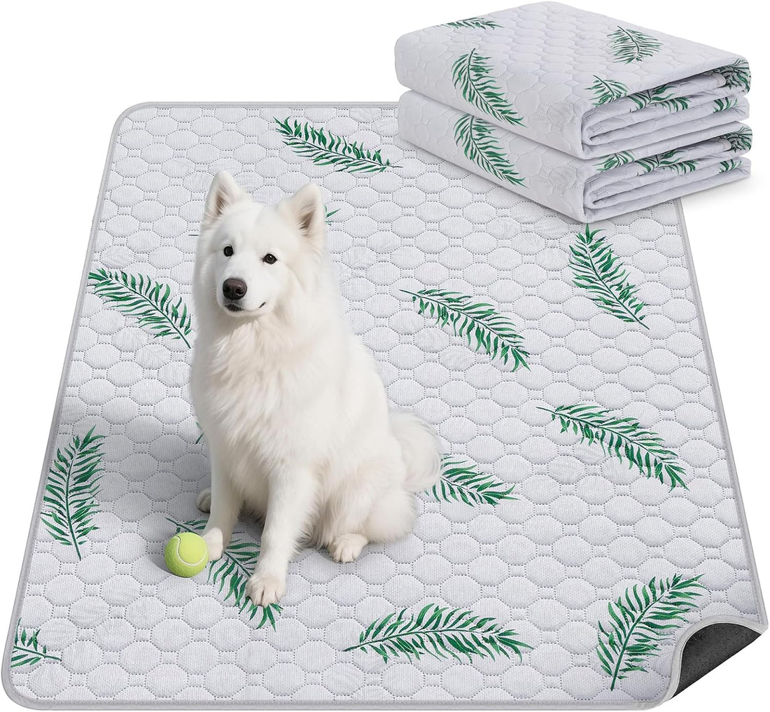 Washable Dog Pee Pads, Non-Slip Waterproof, 36 x 41 in, 2 Pack