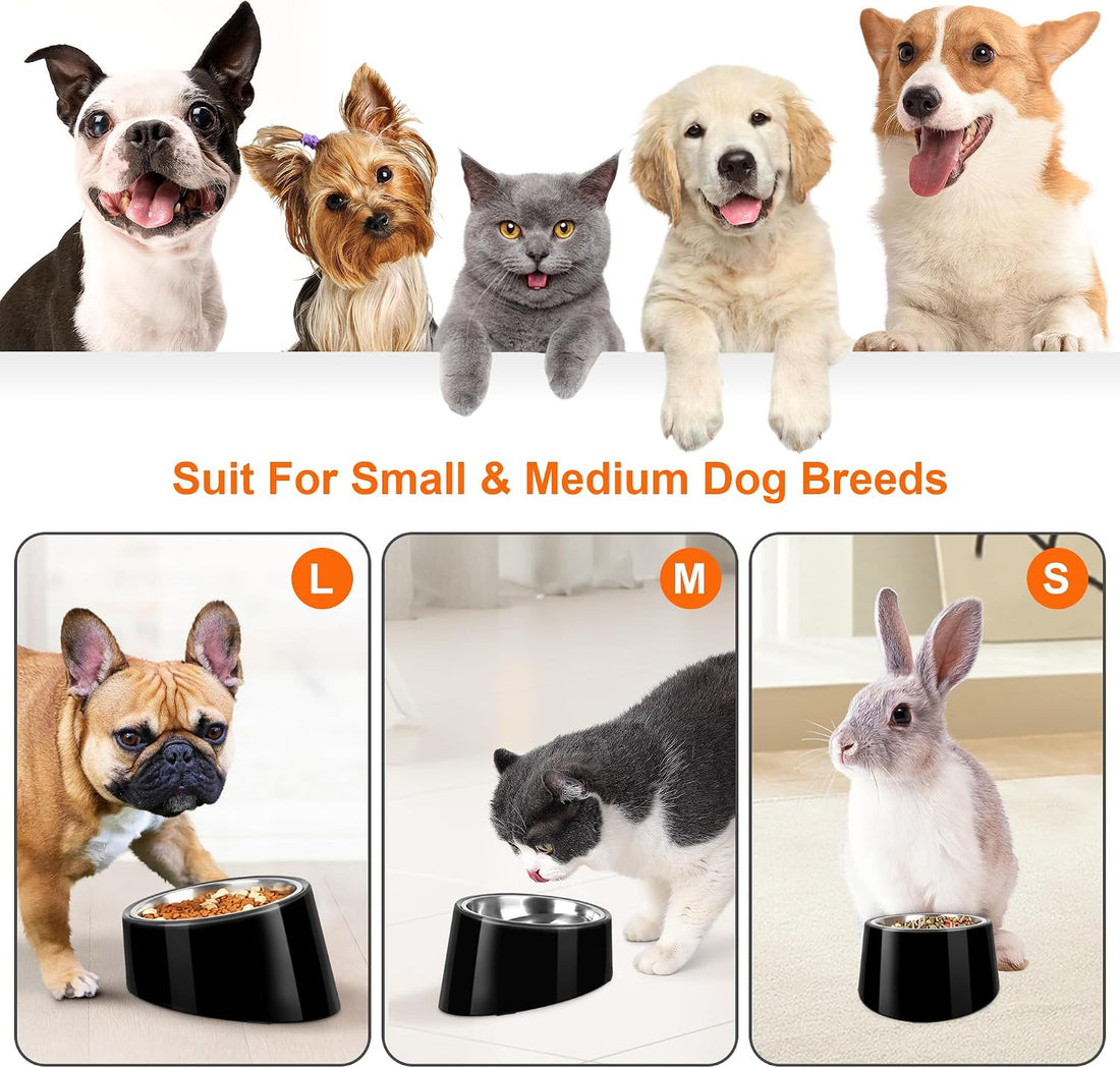 Tilted Dog Bowl Non-Slip & Non-Spill Pet Feeder with Elevated