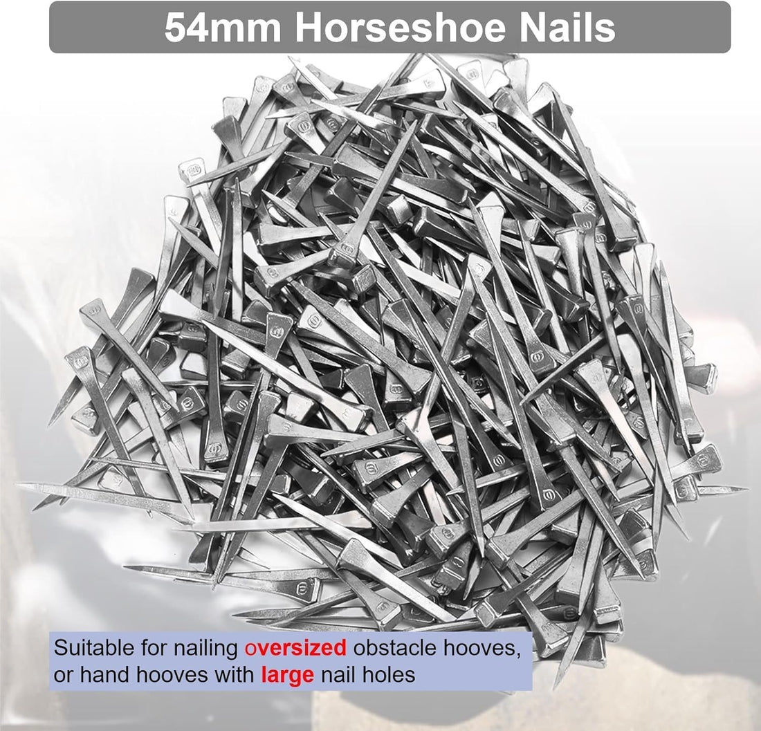 KUIDAMOS 250PCS Horseshoe Nails horseshoe nails e6 Horseshoes