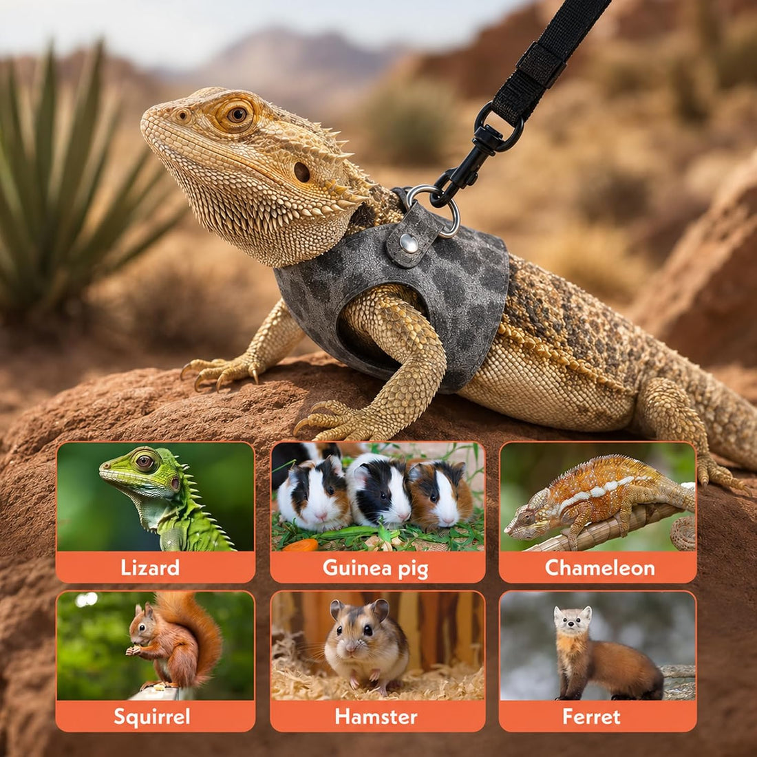 Oruola 3 Sizes Bearded Dragon Harness and Leash,for Beardeds Dragons