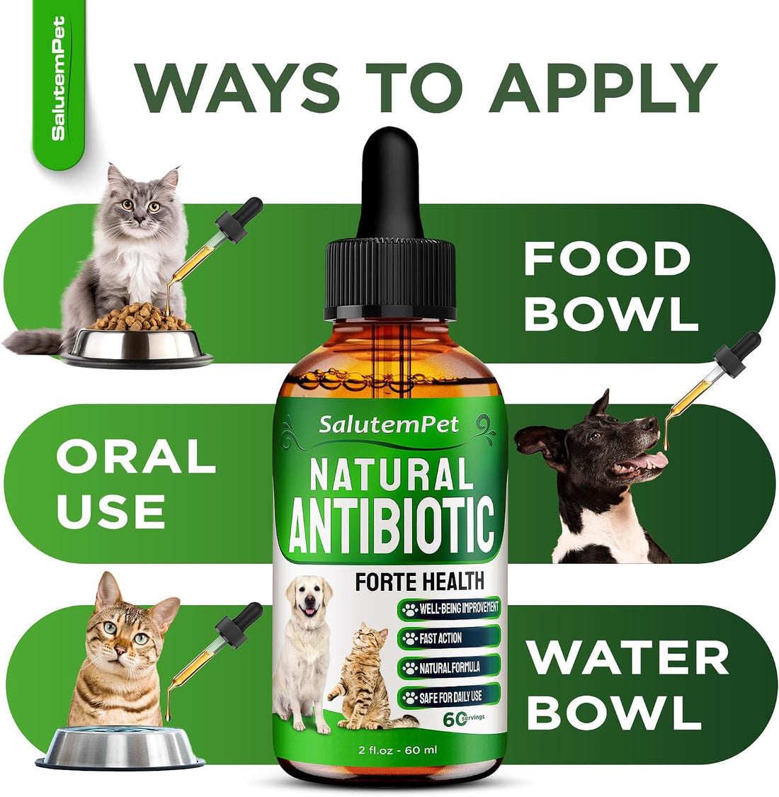 Natural Antibiotics for Dogs to Help with Allergies and UTIs