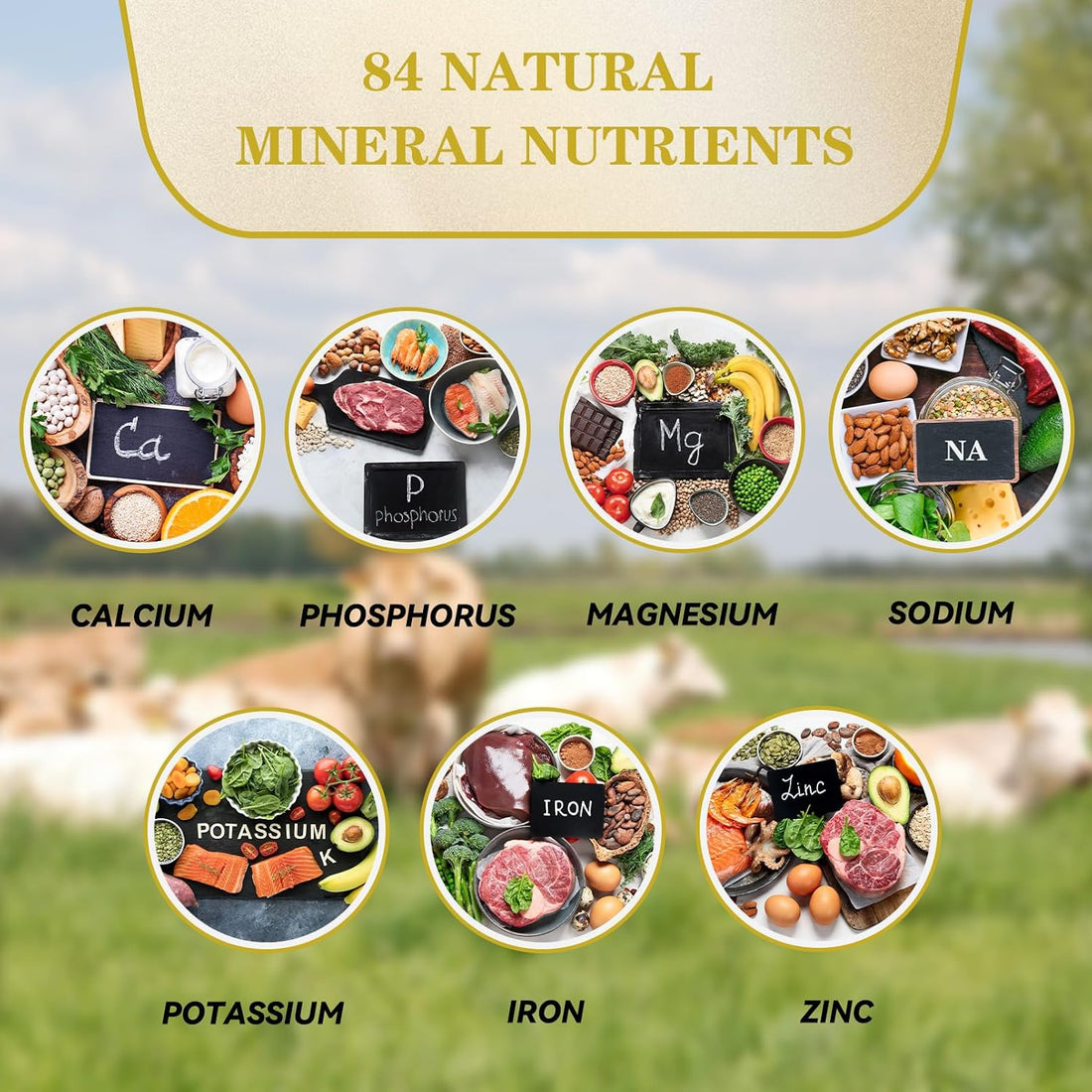 Himalayan Salt Lick Natural Minerals Block on Rope