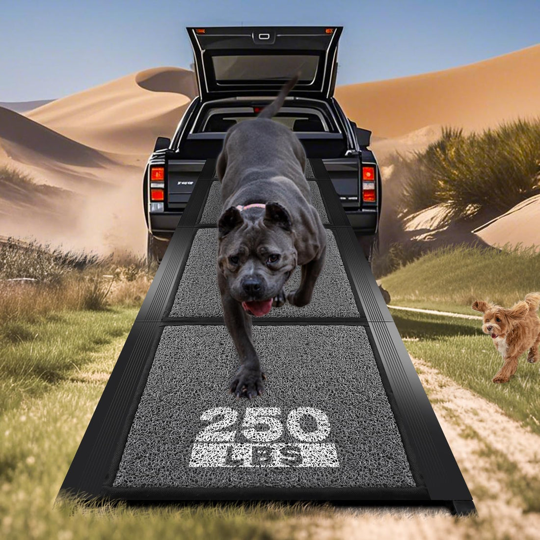 Dog Ramp for Car, Pawlify 71" x 17.3" Dog Ramps for Large Dogs