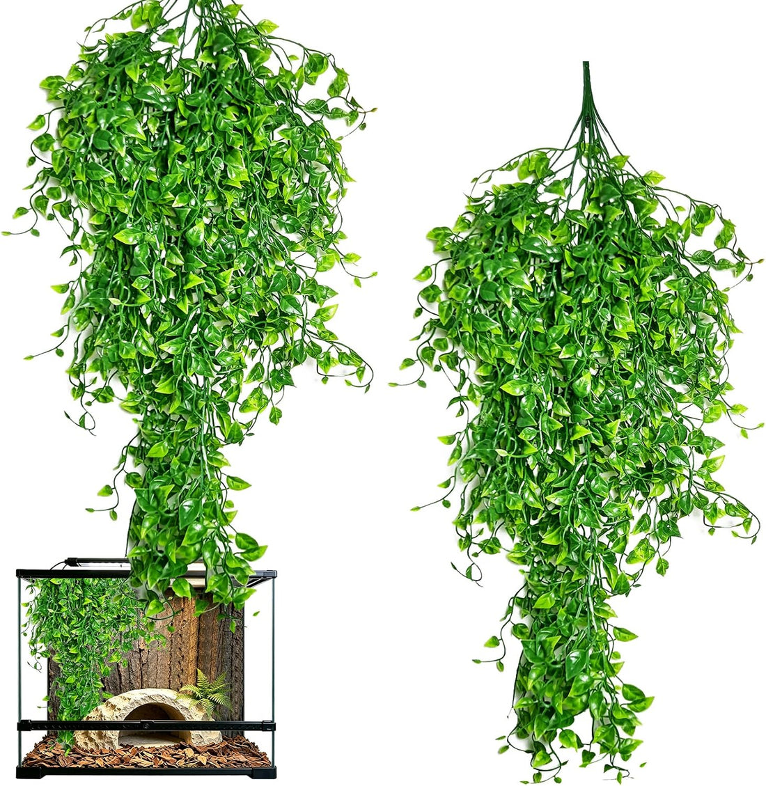 Hamiledyi Reptile Plants for Terrarium, Hanging Tank Greenery