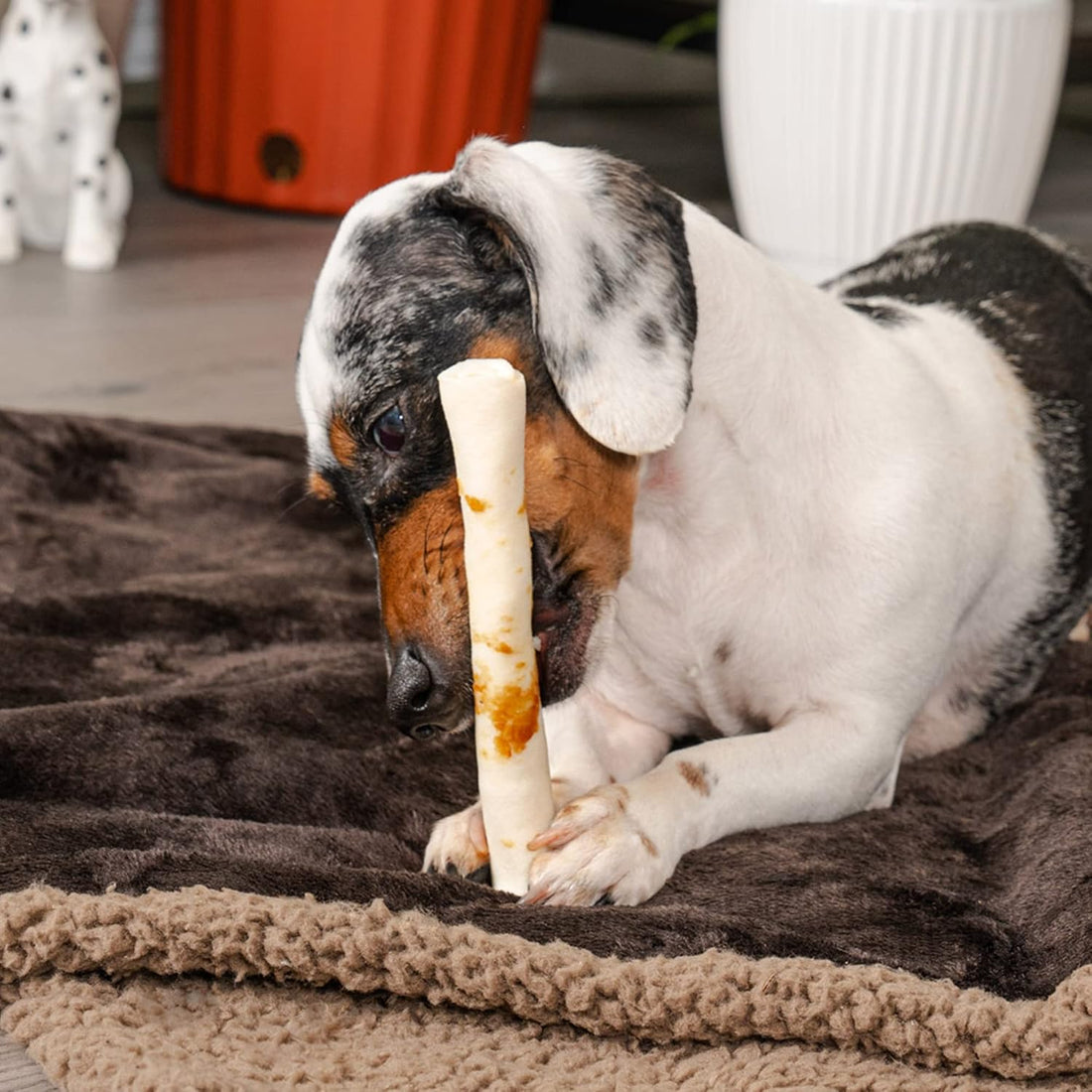 Pet Factory Twistedz American Beefhide 5" Chip Rolls Dog Chew Treats
