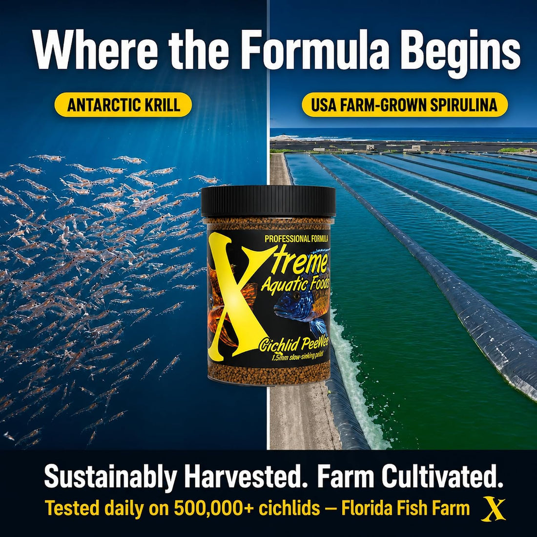 Xtreme Cichlid Peewee 1.5 mm Pellets - Proven Nutrition for Cichlids
