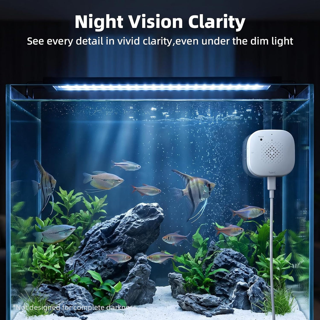3MP 2K Aquarium Camera for Fish Tank, Reptile & Terrarium Camera