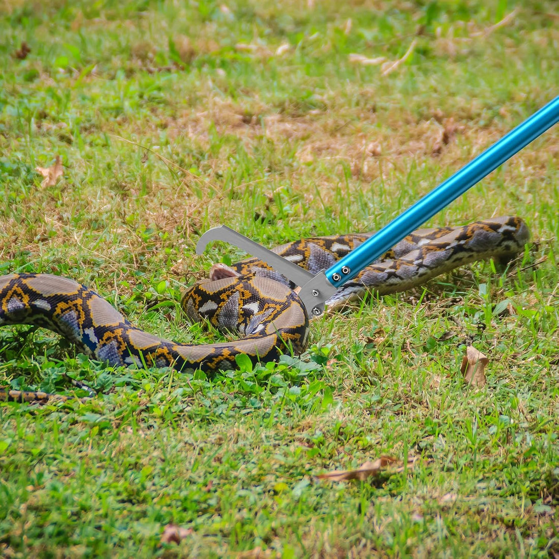 G2 47.2-inch Professional All-Aluminum Alloy Snake Tong Reptile