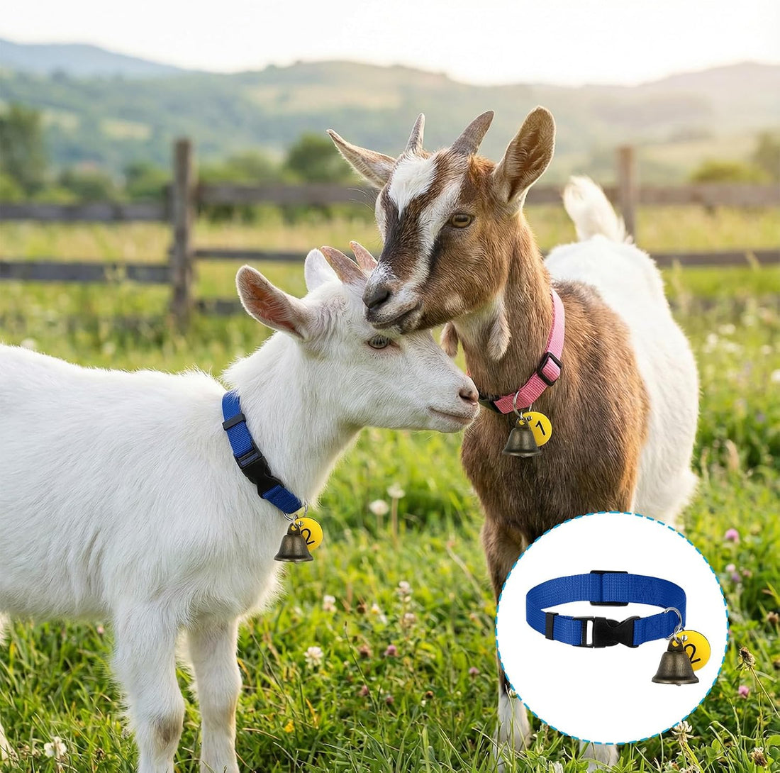 20 Pack Adjustable Goat Collar with Bell and Number Tag