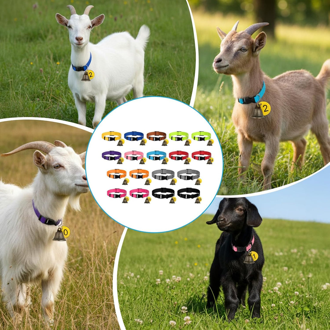 20 Pack Adjustable Goat Collar with Bell and Number Tag