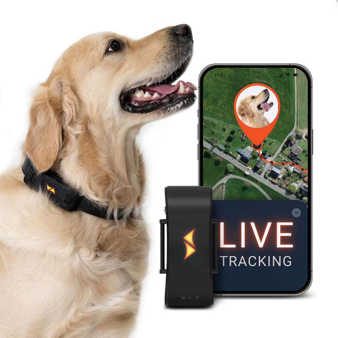 PAJ Dog GPS Tracker 3-Month Subscription Included