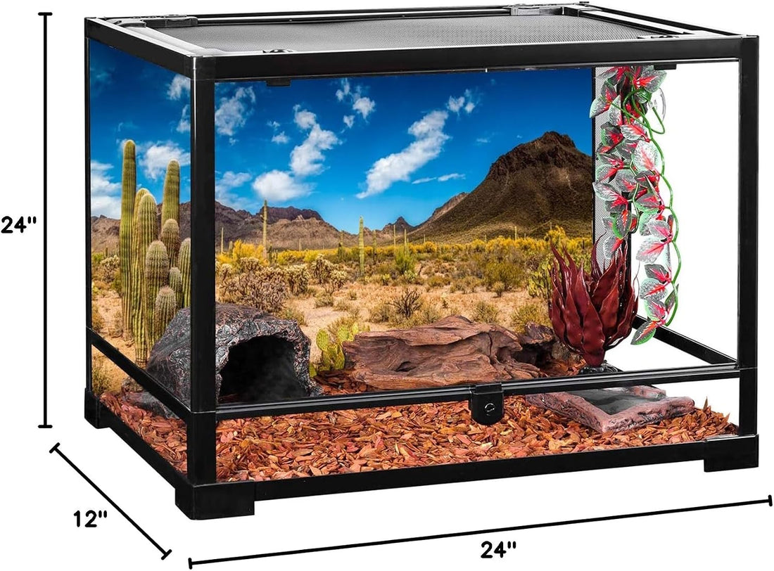 24x12 in Reptile Habitat Background Blue Sky Cactus Desert Tank