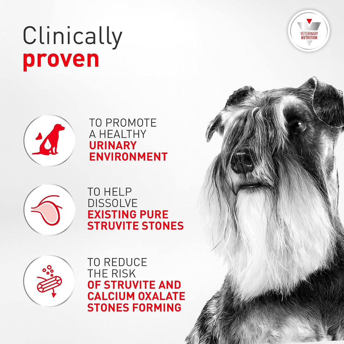 ROYAL CANIN Veterinary Diet Canine Urinary SO Adult Dry Dog Food