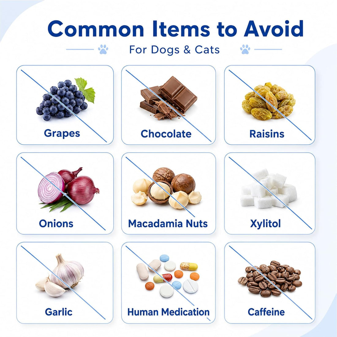 Activated Charcoal for Dogs & Cats