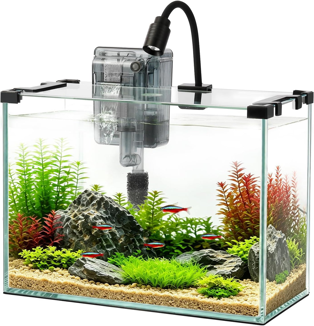 2.2 Gallon Small Glass Fish Tank Kit