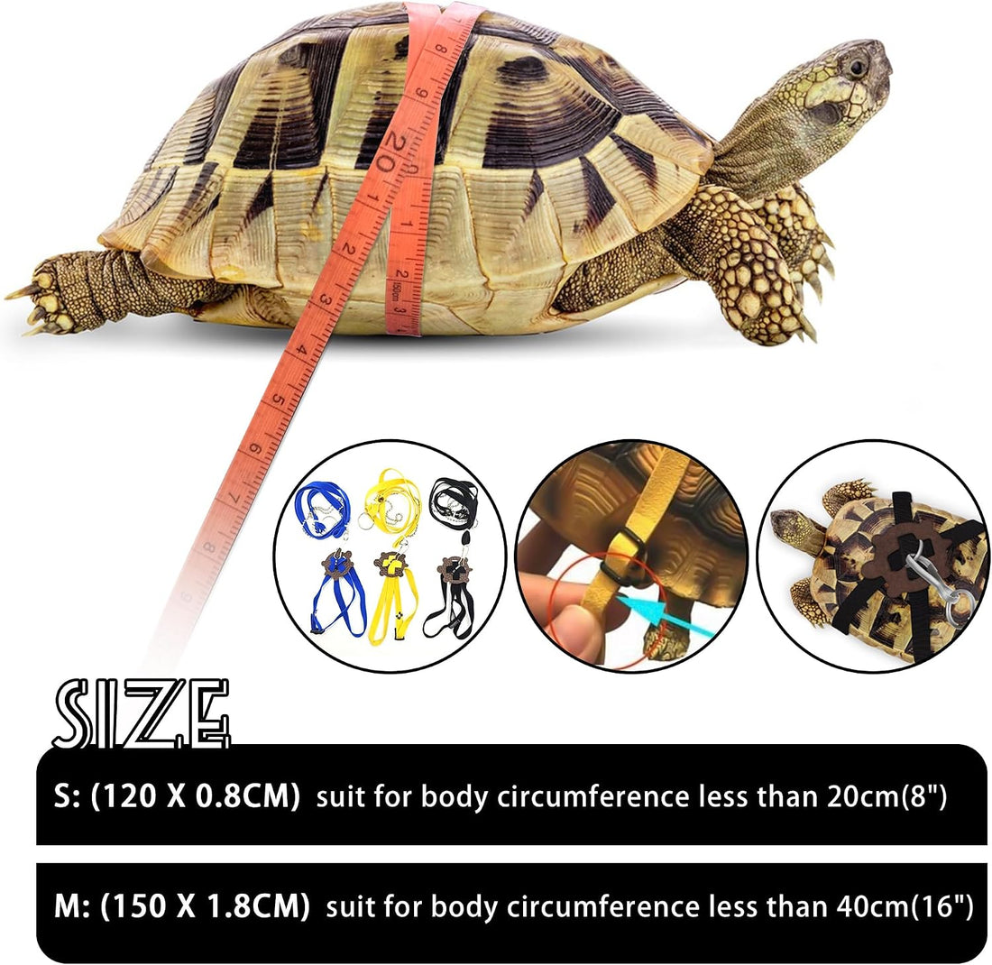 Pet Tortoise Leather Harness & Leash - Small Tortoise Supplies