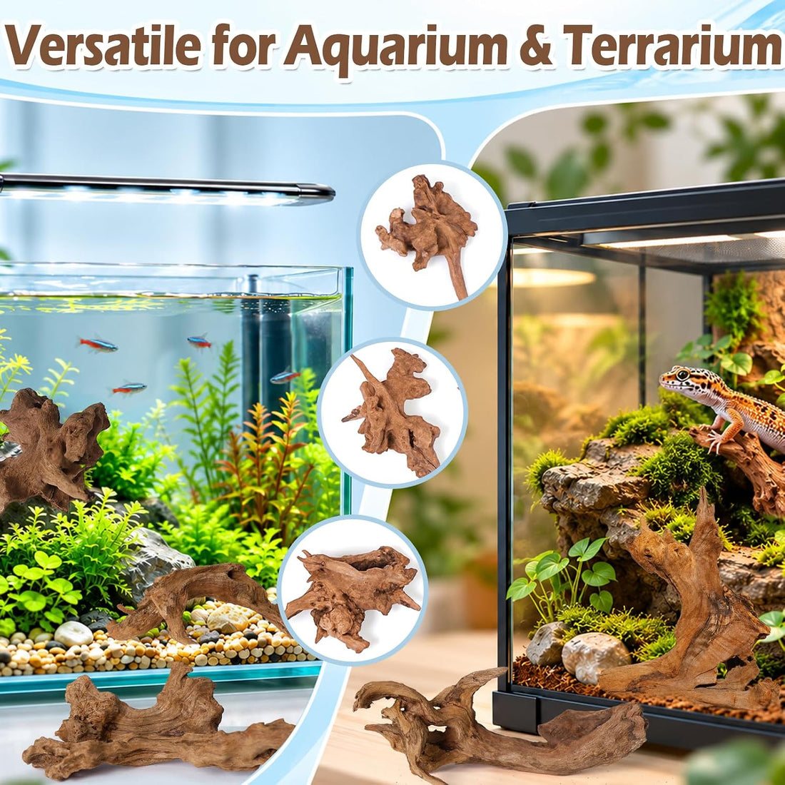 12PCS Natural Small Driftwood 2"–4" Unique Wood for Aquarium