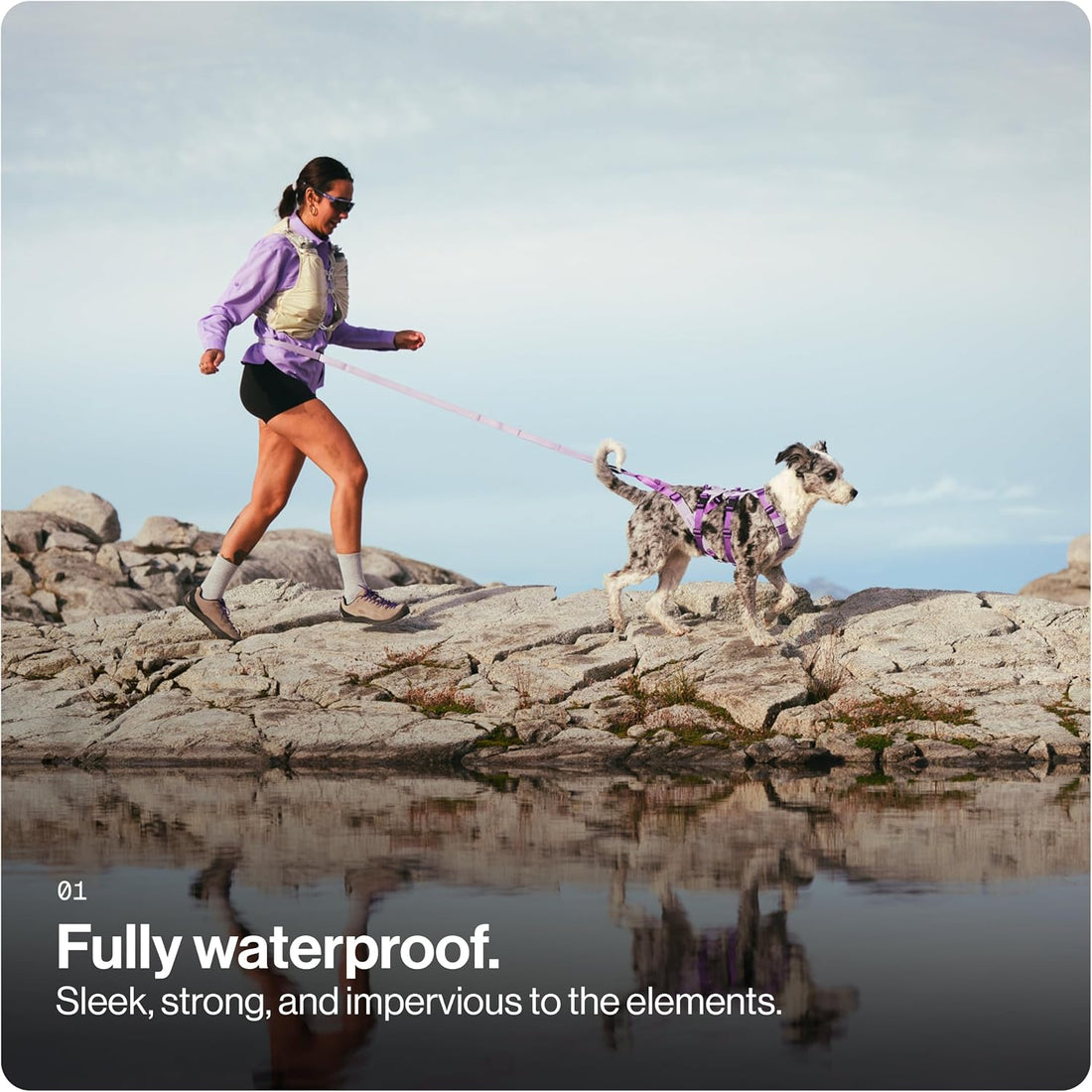 Säker Kelp™ Waterproof Dog Leash – Heavy Duty, Odor-Proof