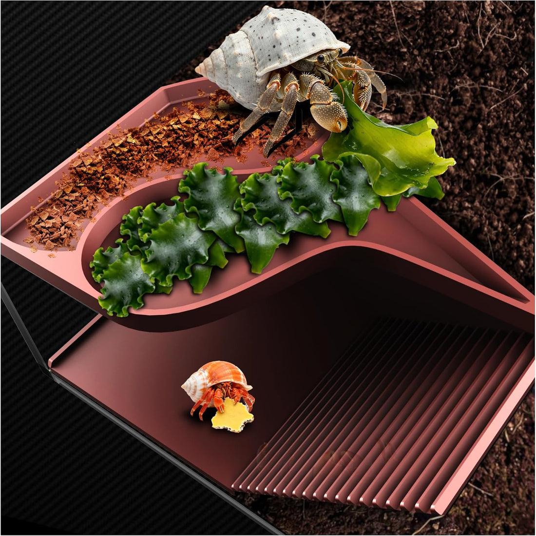 Hermit Crab Accessories | Hermit Crab Climbing Toys with Climbing Wall