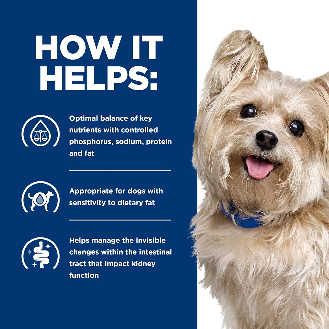 Hill's Prescription Diet Multi-Organ Complex Support Wet Dog Food