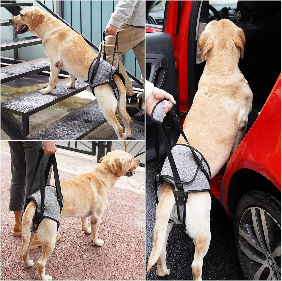 Dotoner Dog Sling for Large Dogs Hind Leg Support to Help