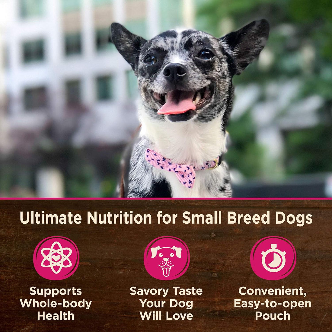 Wellness CORE Small Breed Mini Meals Shredded in Gravy Wet Dog Food