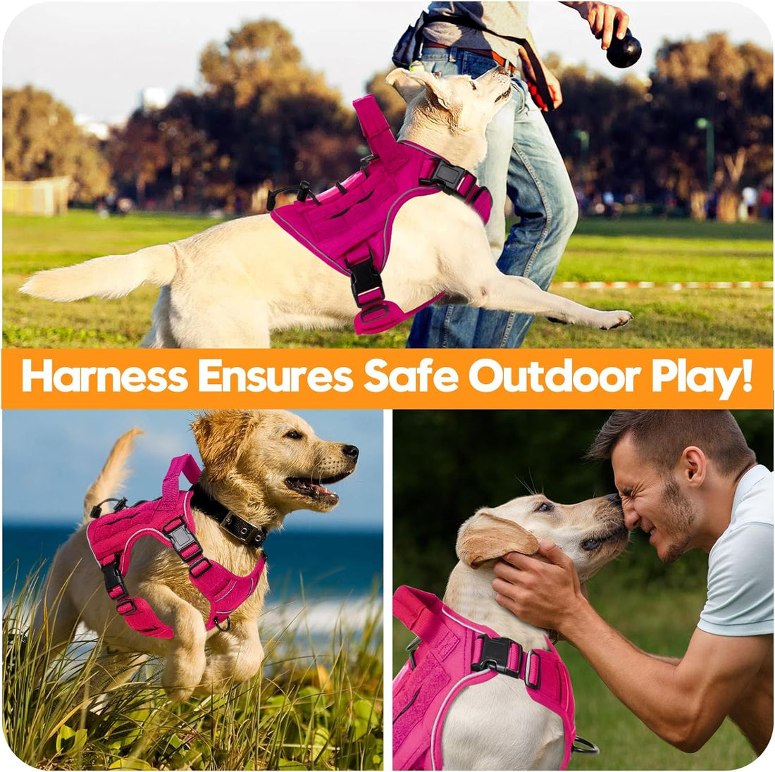 Heavy-Duty Tactical Dog Harness for Large Dogs