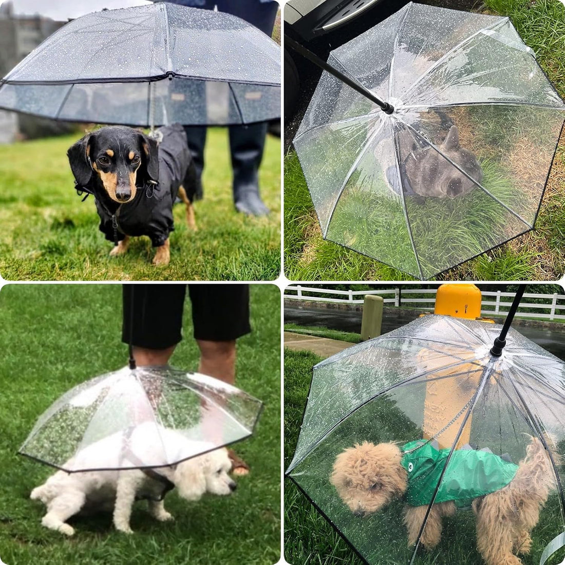 Clear Dog Umbrella for Small Dogs, Doggie Umbrella with Leash