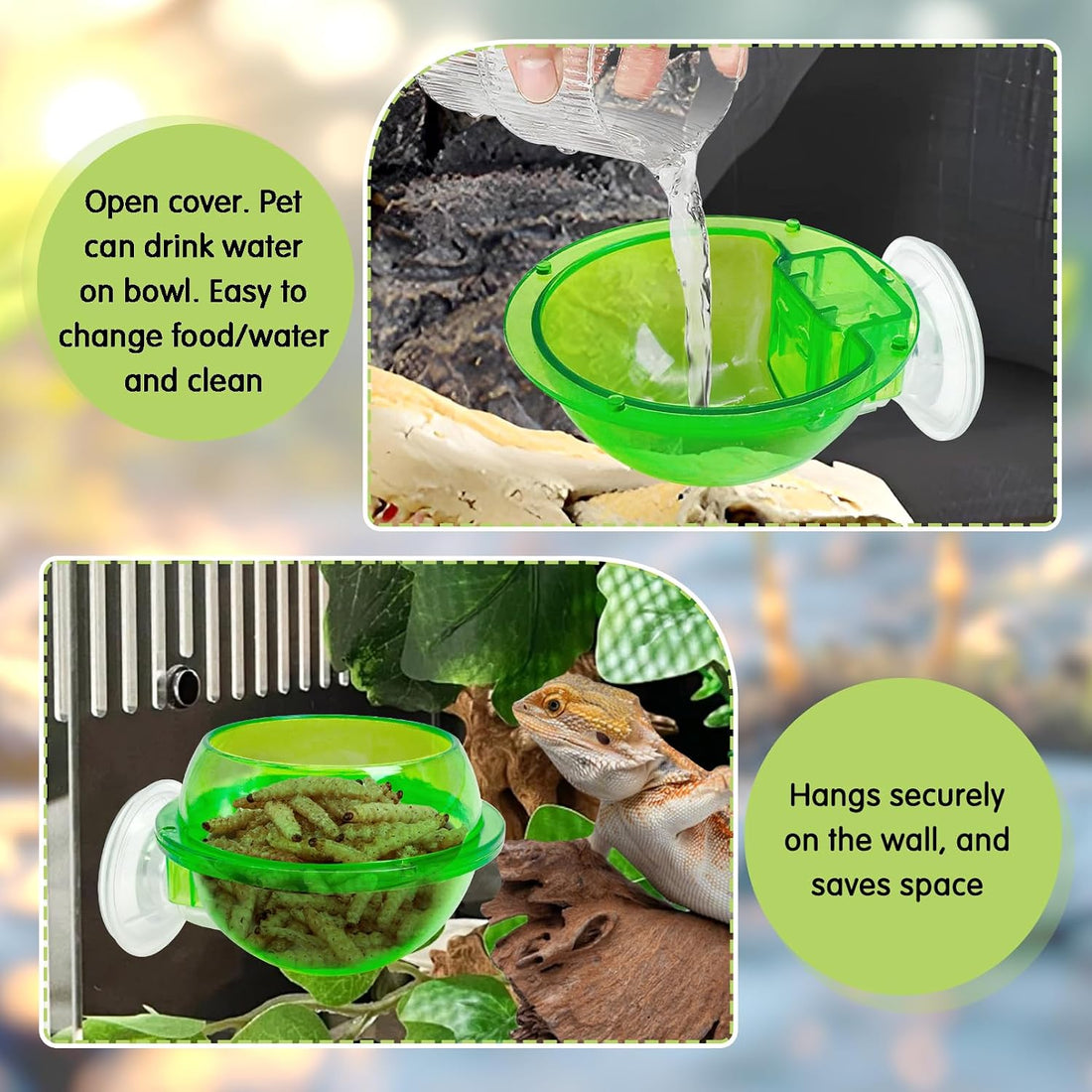 Tfwadmx Chameleon Bowl, Reptile Feeding Feeder,Worm Live Fodder