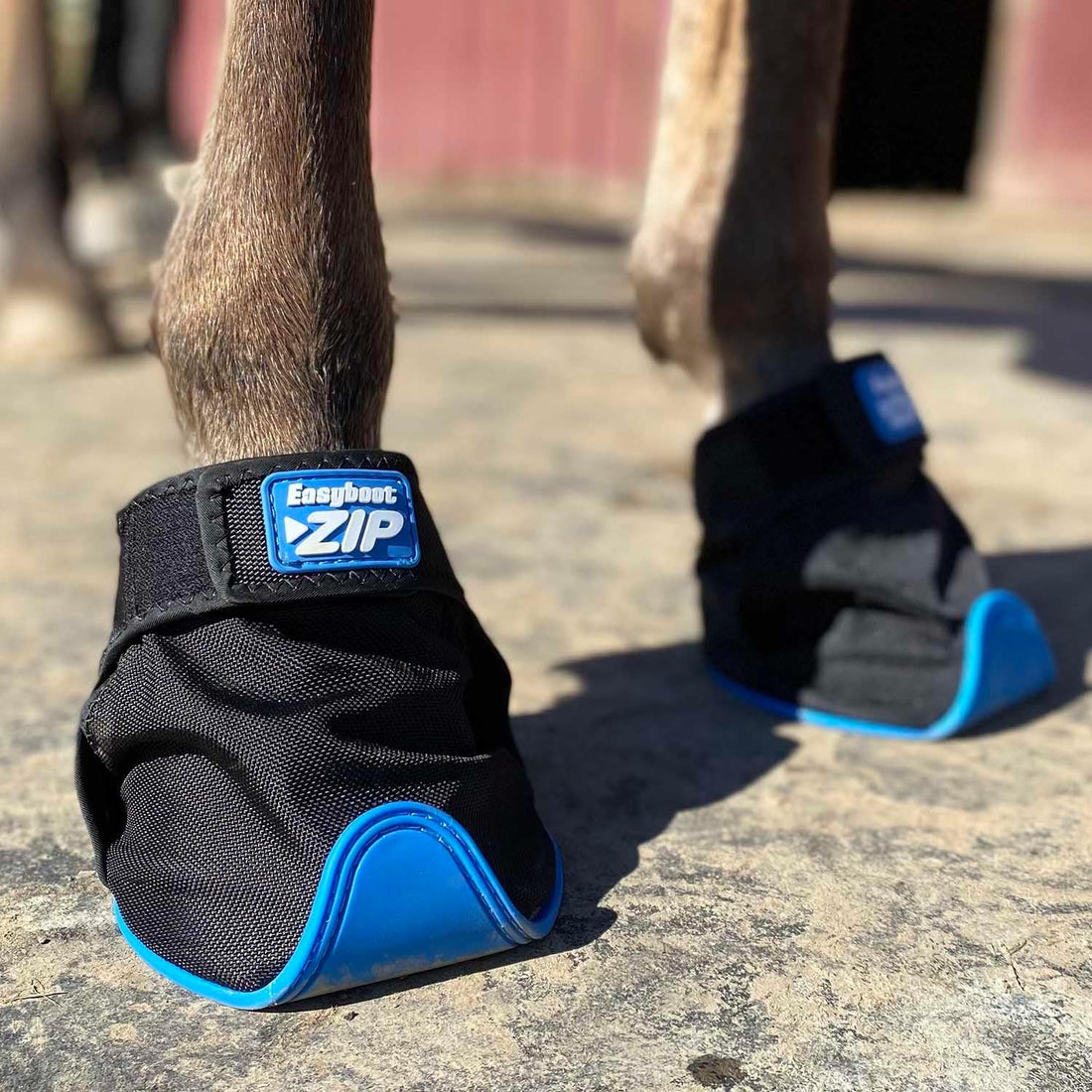 Easyboot Zip (2)