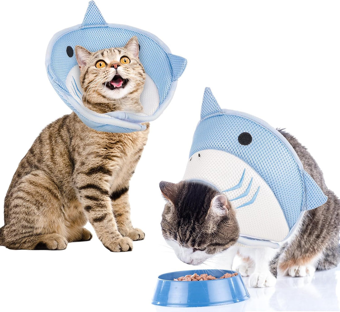 FRIUSATE Cat Cone Collar Soft Adjustable Recovery Collar for Cats