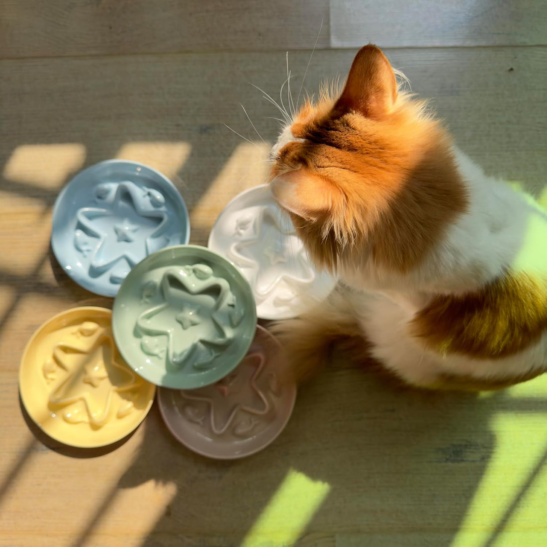 2 Pcs Cat Slow Feeder Bowl – Whisker Friendly Melamine Puzzle Feeding
