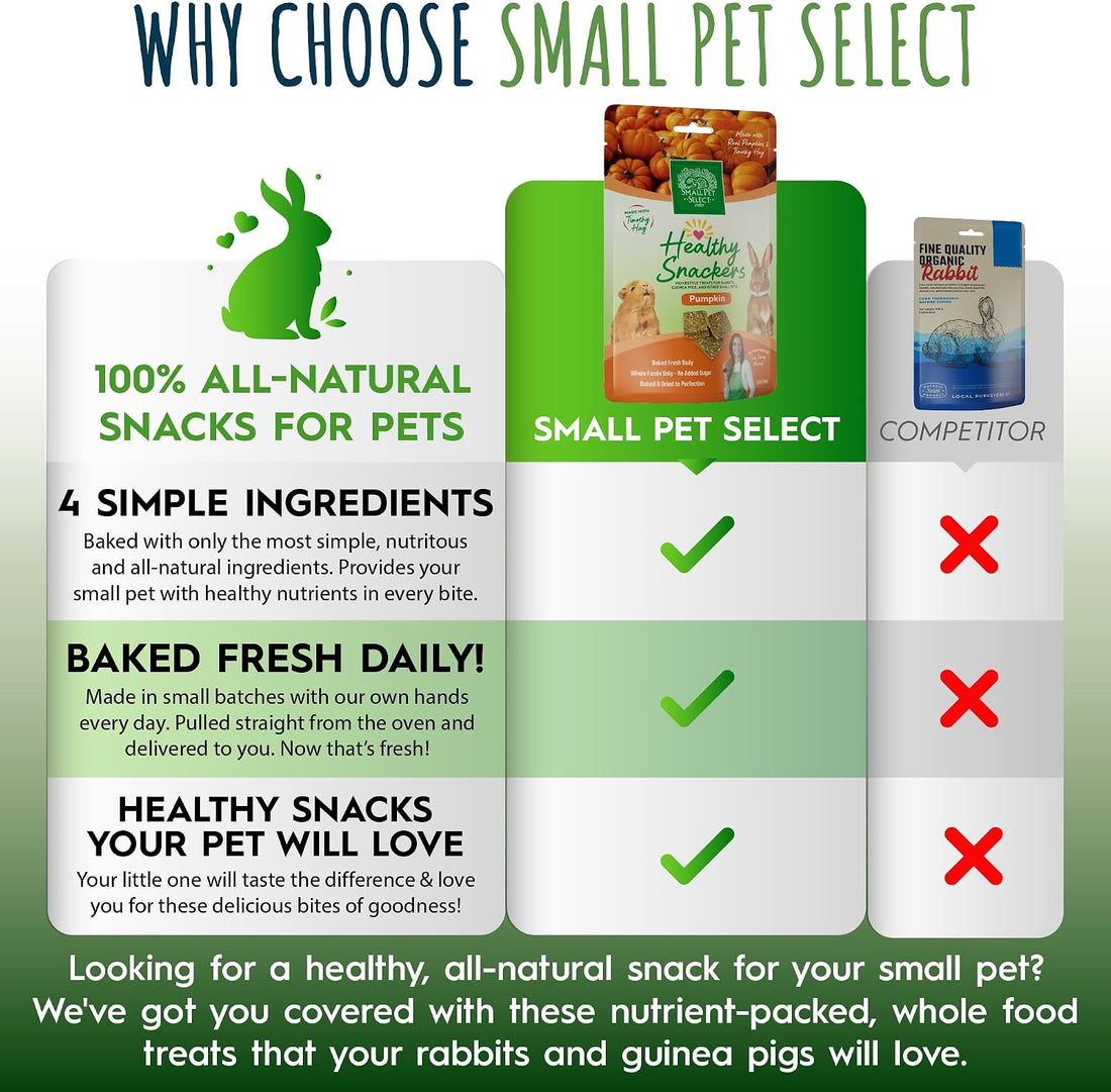 Small Pet Select - Healthy Snackers - Pumpkin