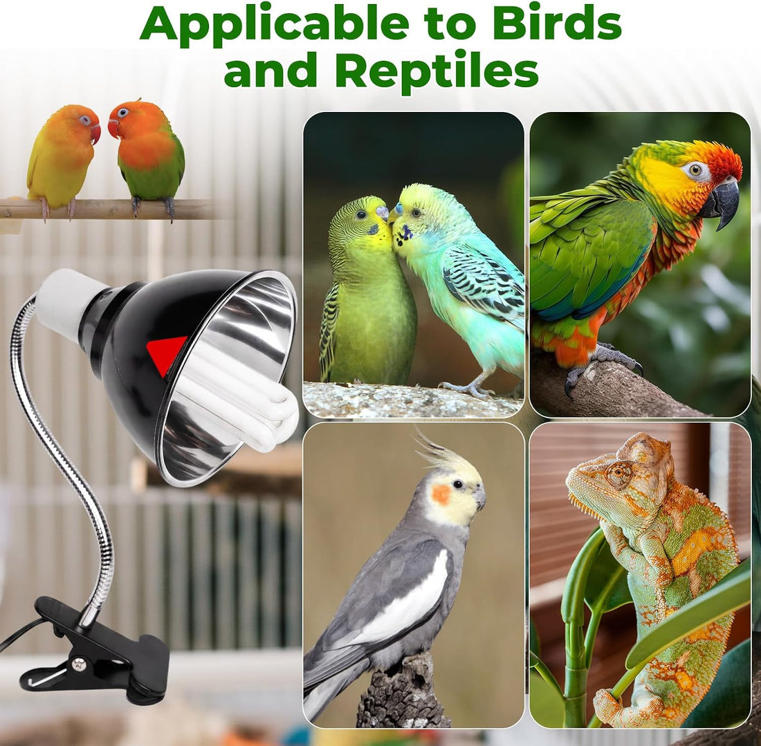 GlowUp 2.4% UVB Bird Cage Light Combo Kit