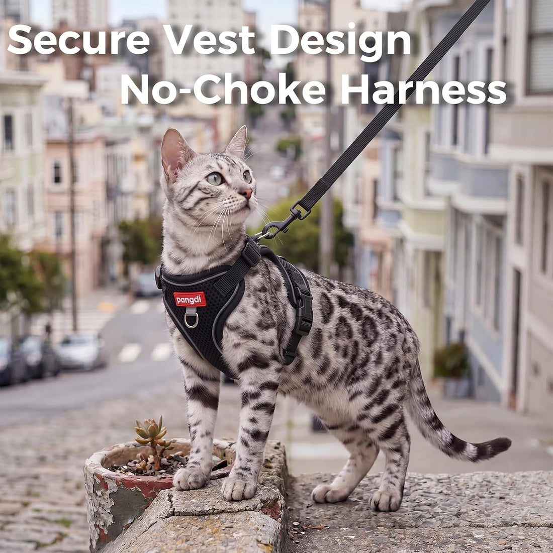 Cat Harness and Leash Set, Lightweight Air-Mesh Cat Vest, Black, XL