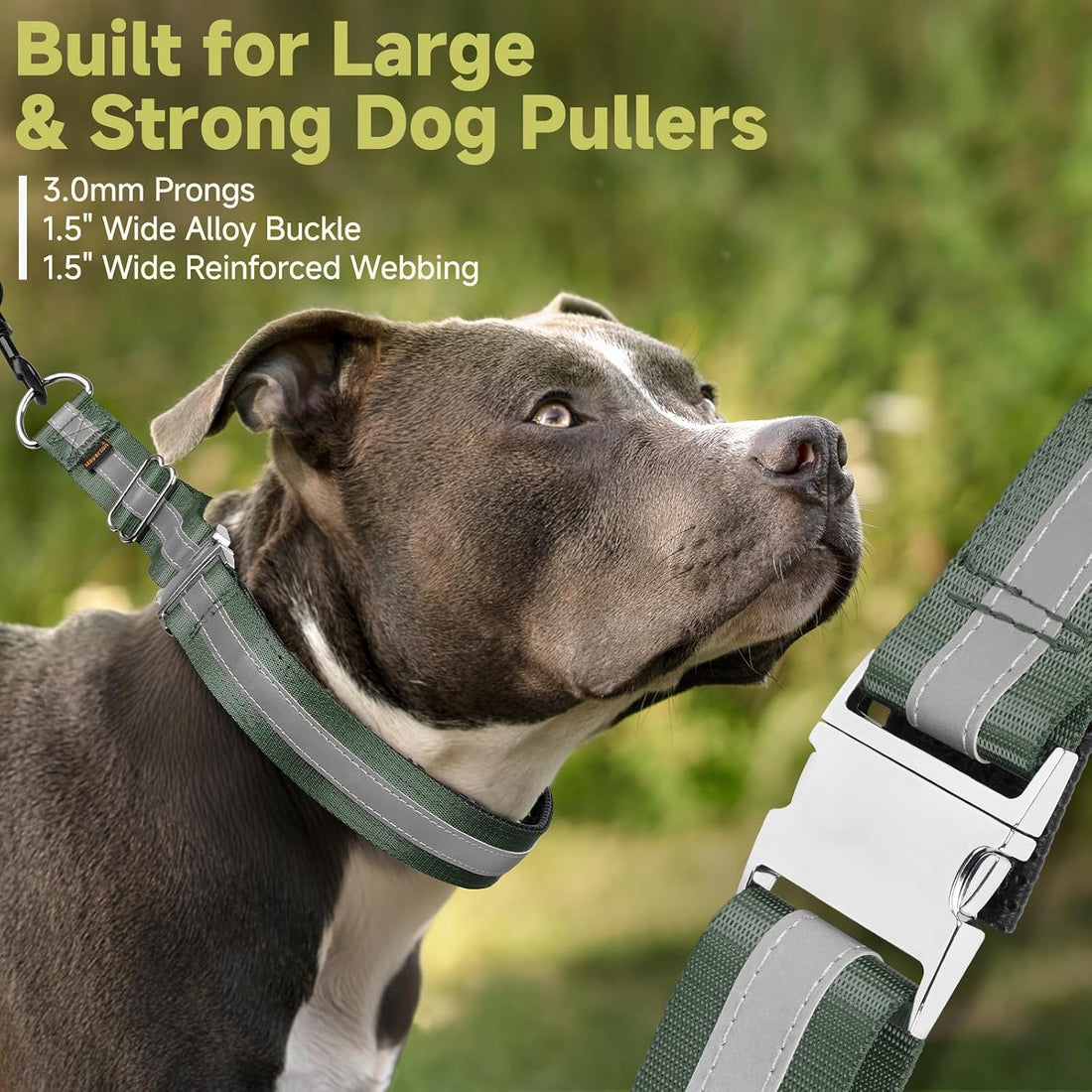 Mayerzon Martingale No Pull Dog Collar with Alloy Buckle, Green, L