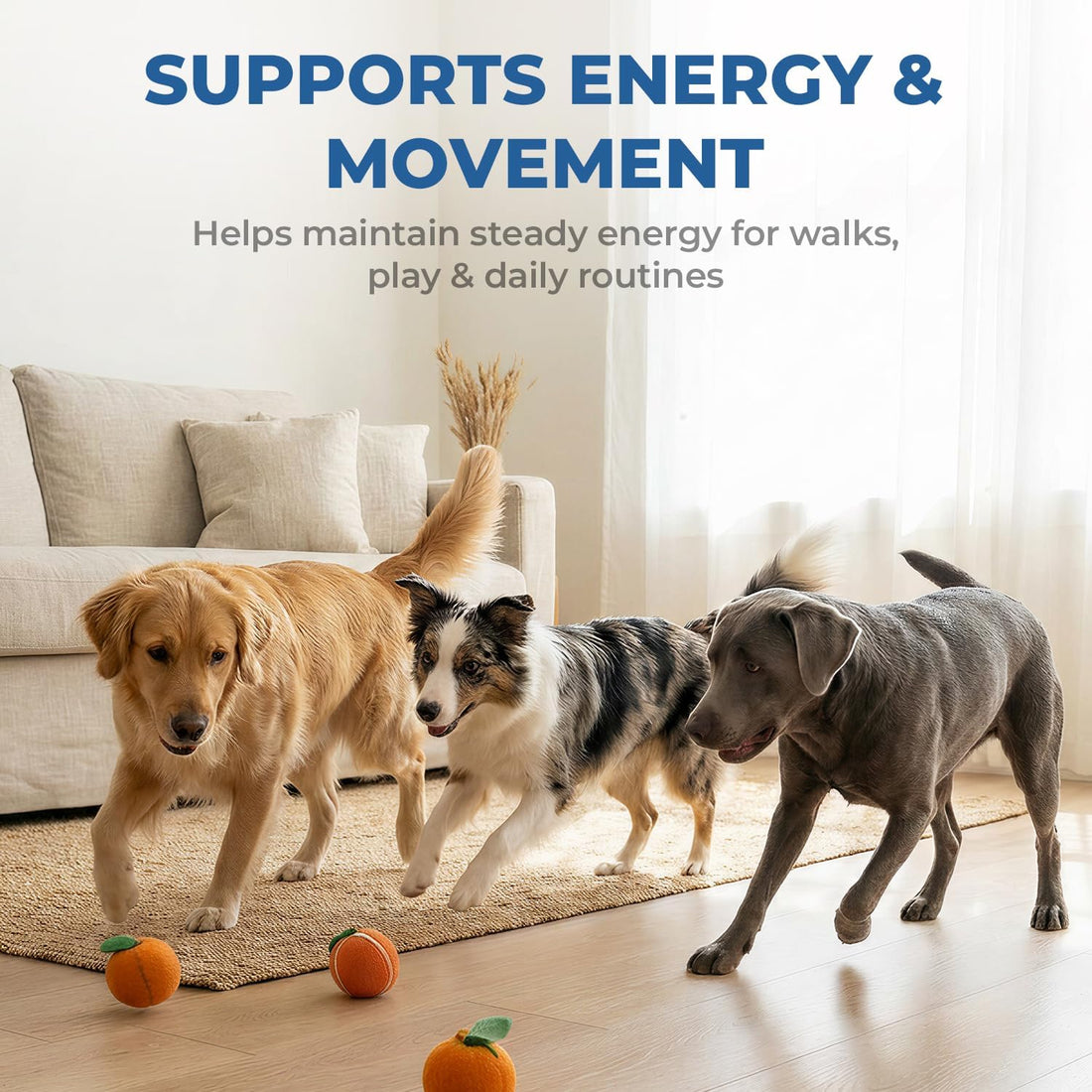 Taurine Supplement for Dogs Liquid Drops with CoQ10 & L-Carnitine